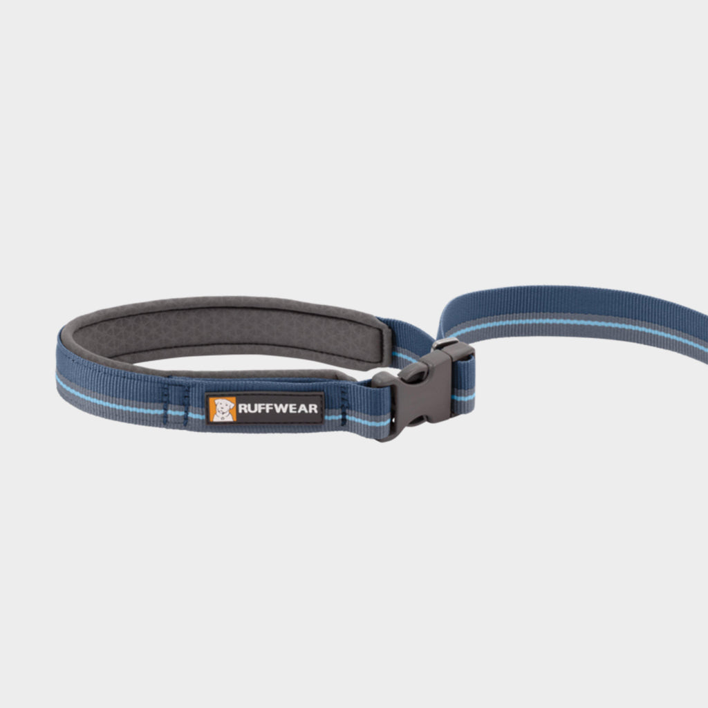 Flat Out™ Adjustable Dog Lead