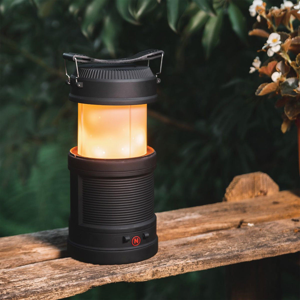 Big Poppy Lantern