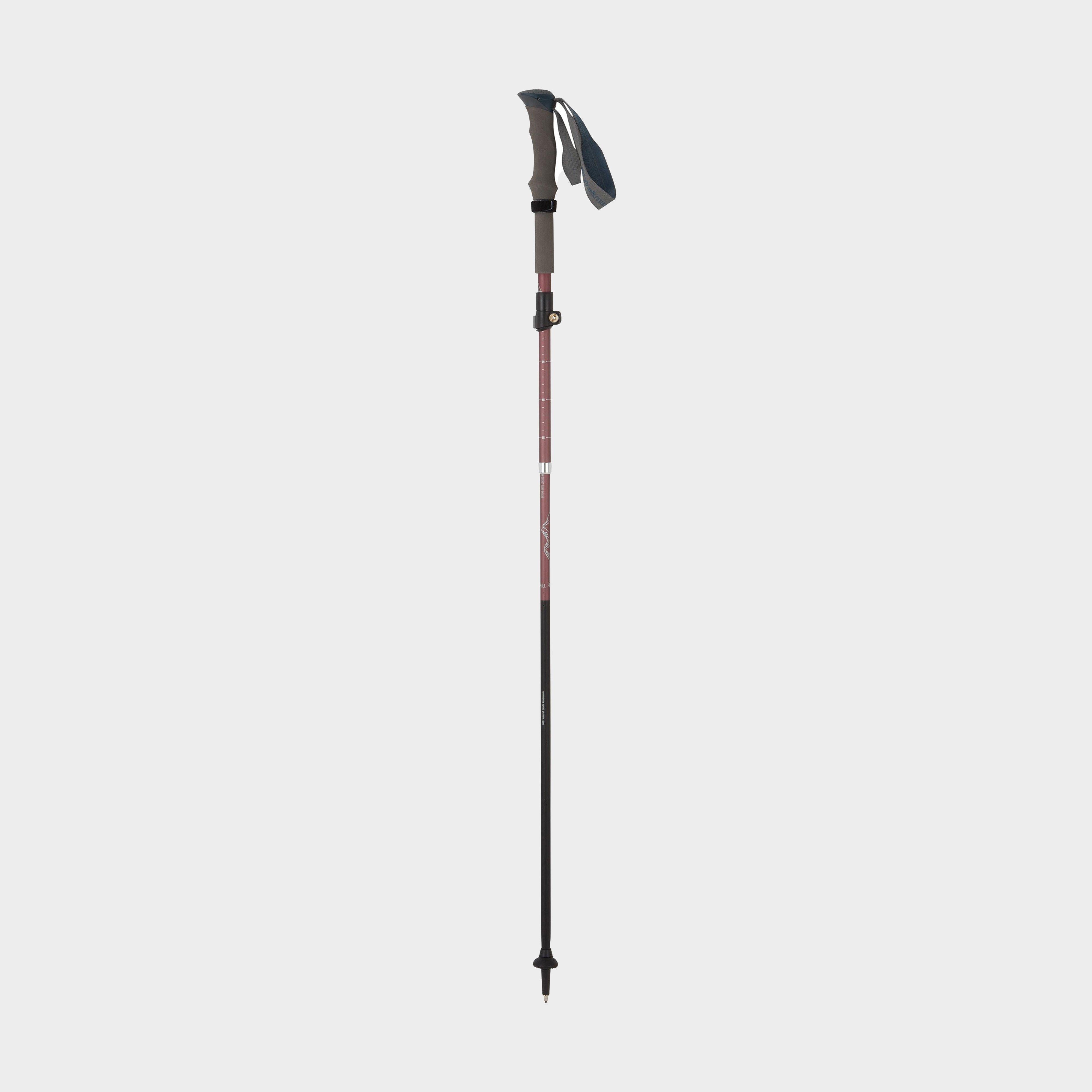 Fold Lock Walking Pole