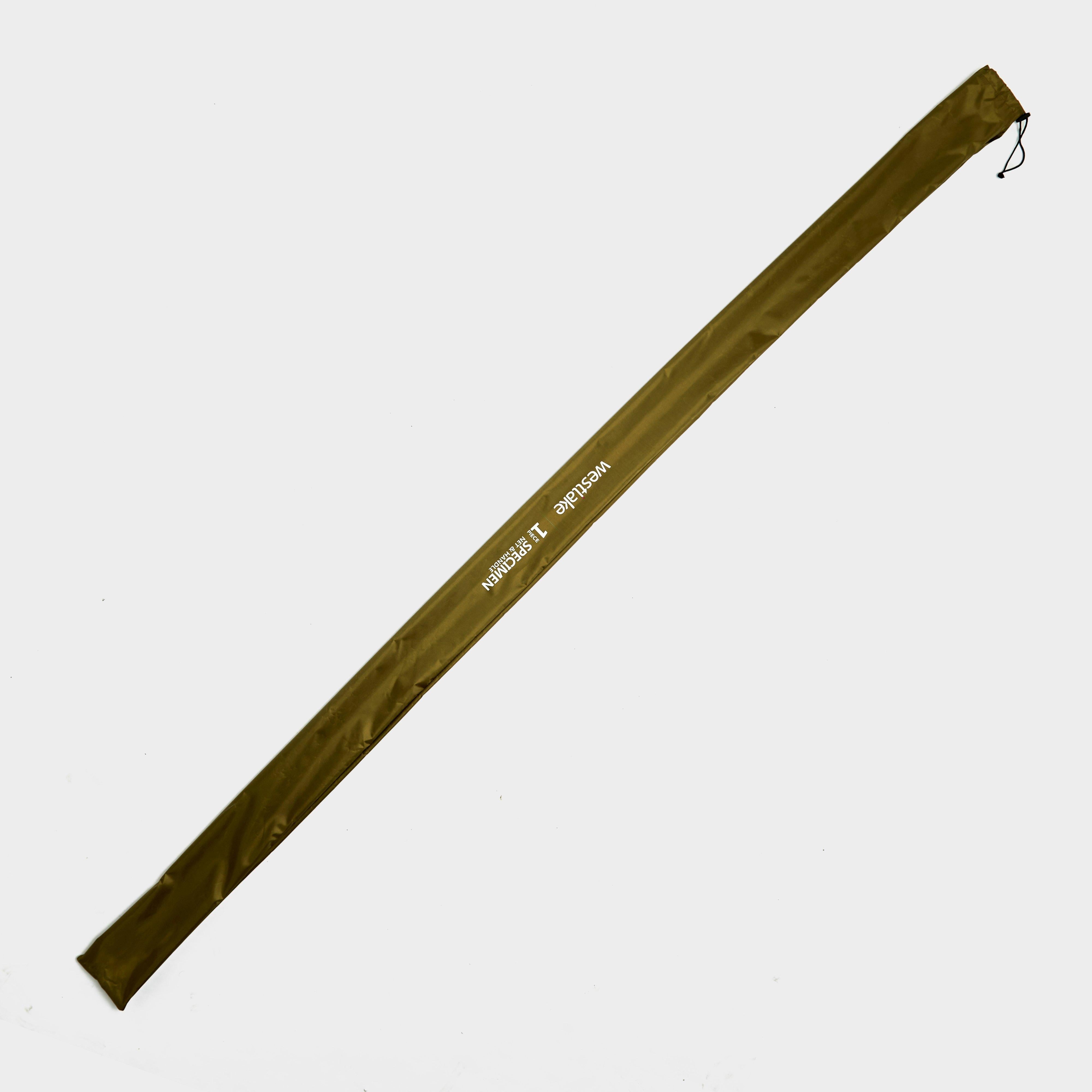1-Piece Specimen Net and Handle