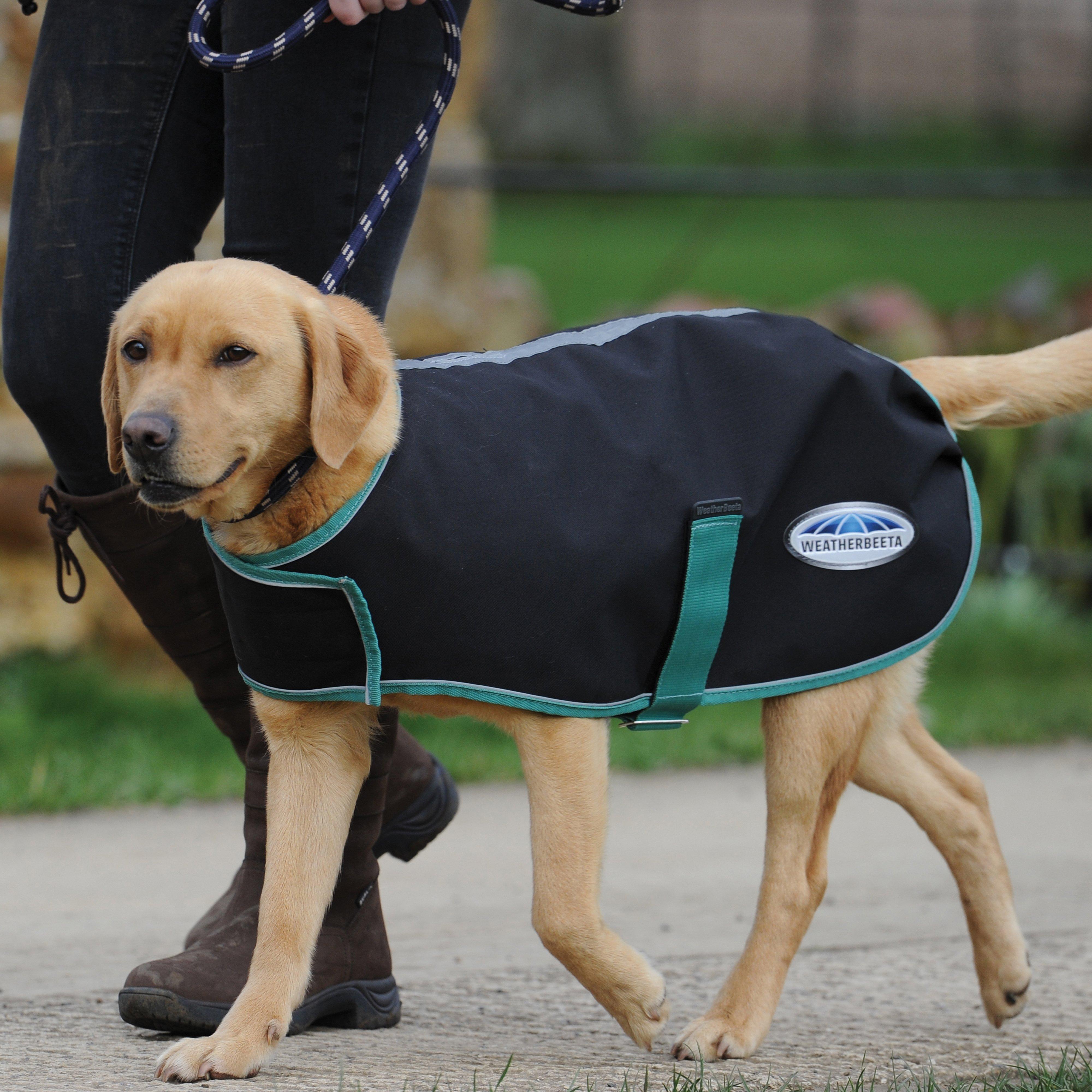Green-Tec 900D Waterproof Dog Coat