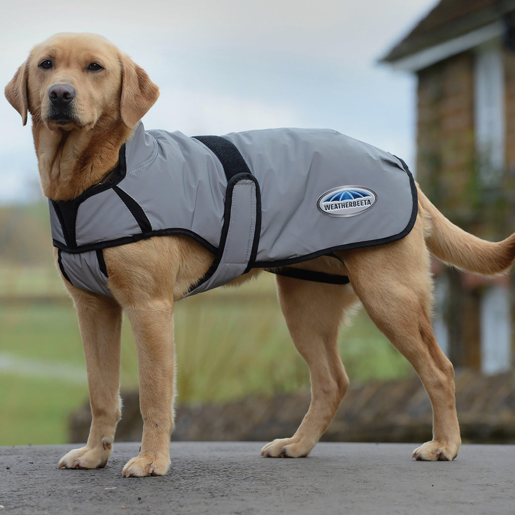 Comfitec Reflective Dog Coat Medium