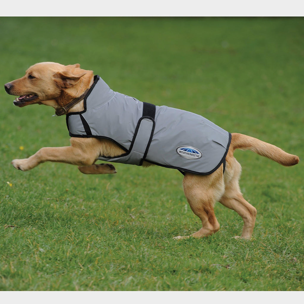 Comfitec Reflective Dog Coat Medium