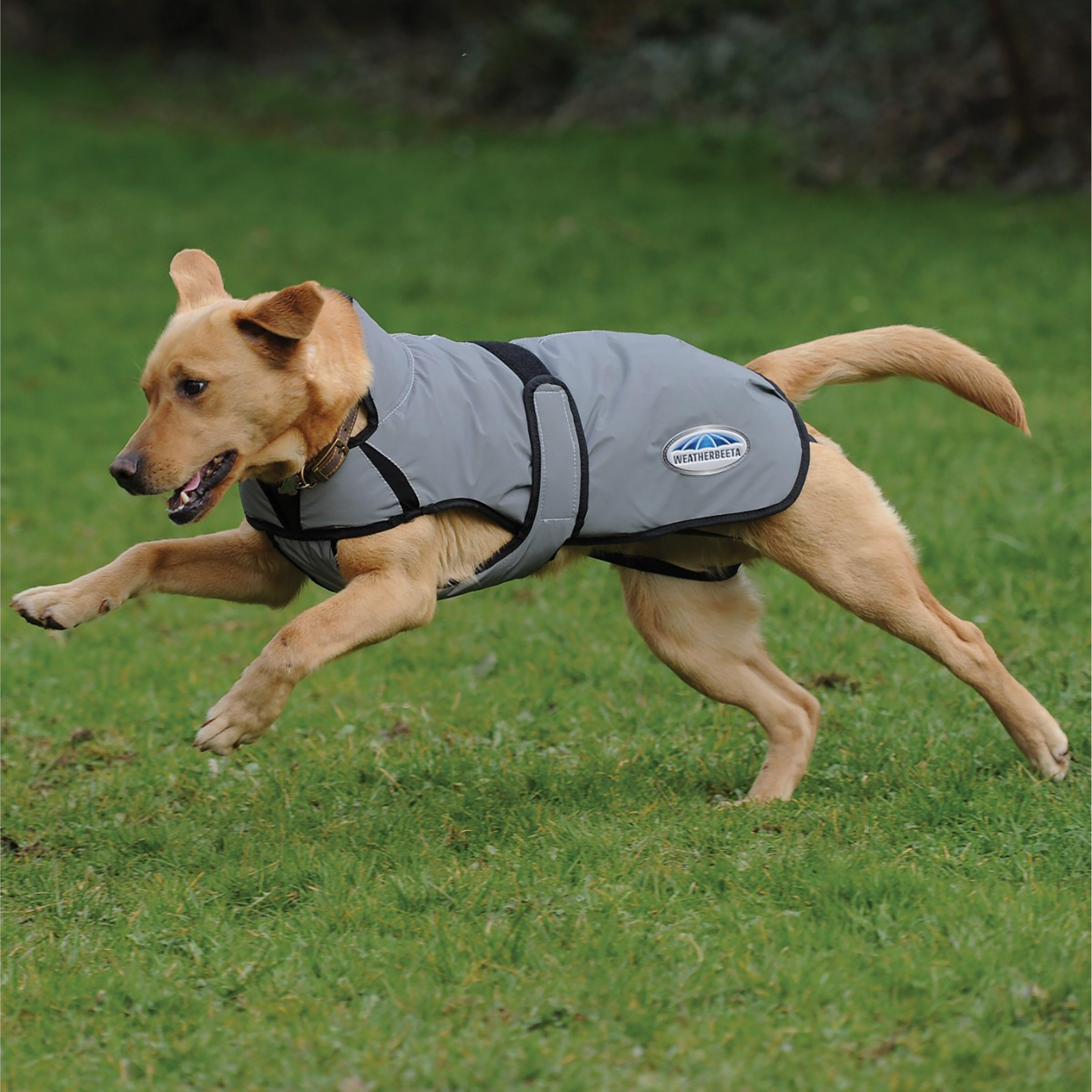 Comfitec Reflective Dog Coat Medium