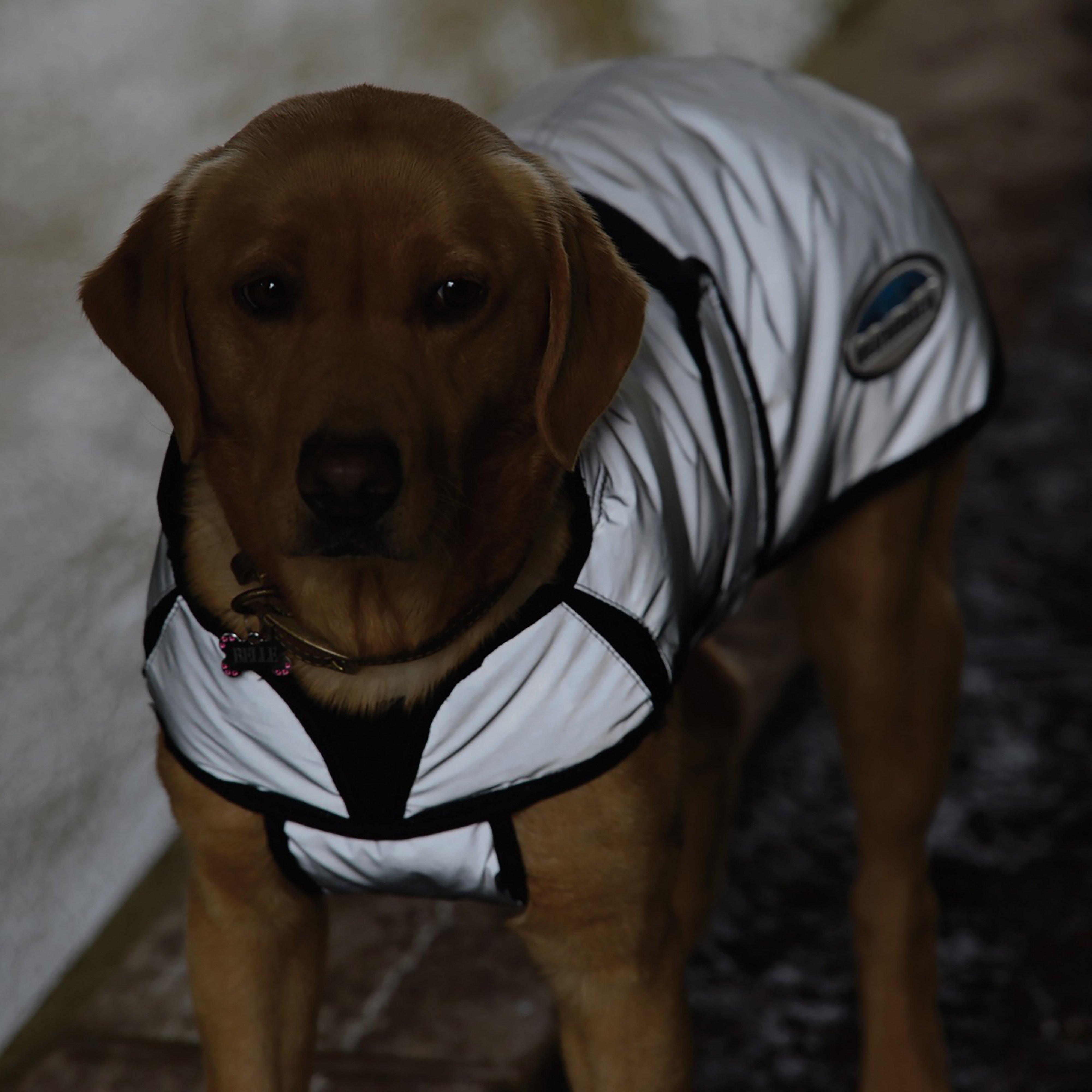 Comfitec Reflective Dog Coat Medium