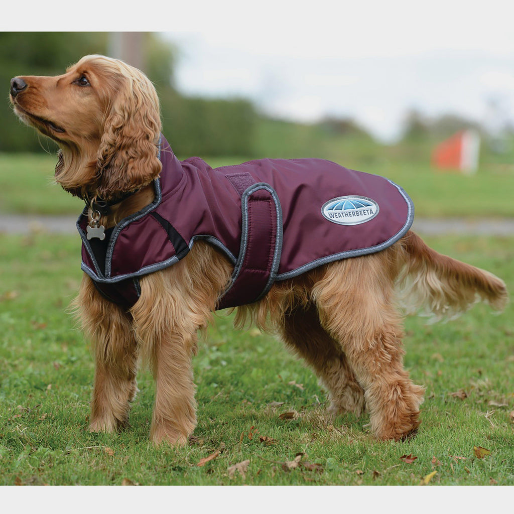 Comfitec Windbreaker Free Deluxe Dog Coat
