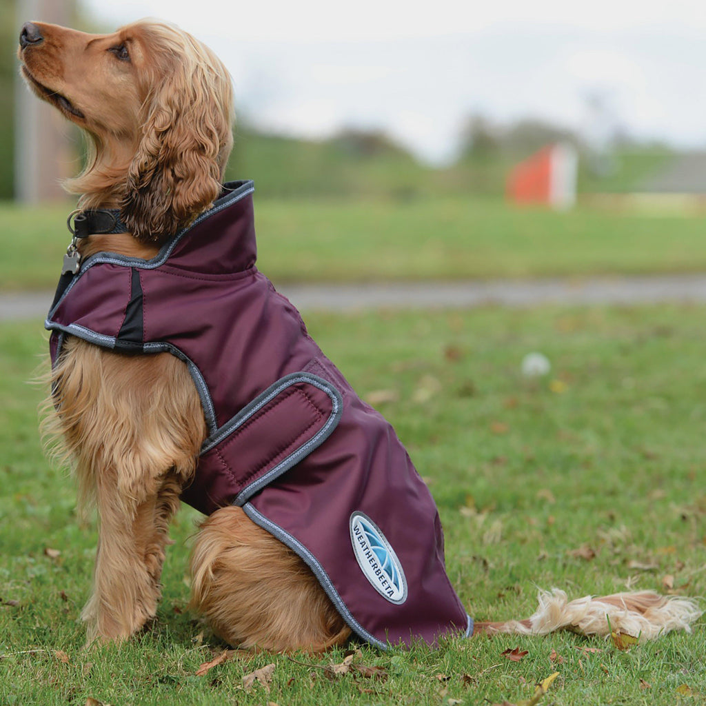 Comfitec Windbreaker Free Deluxe Dog Coat