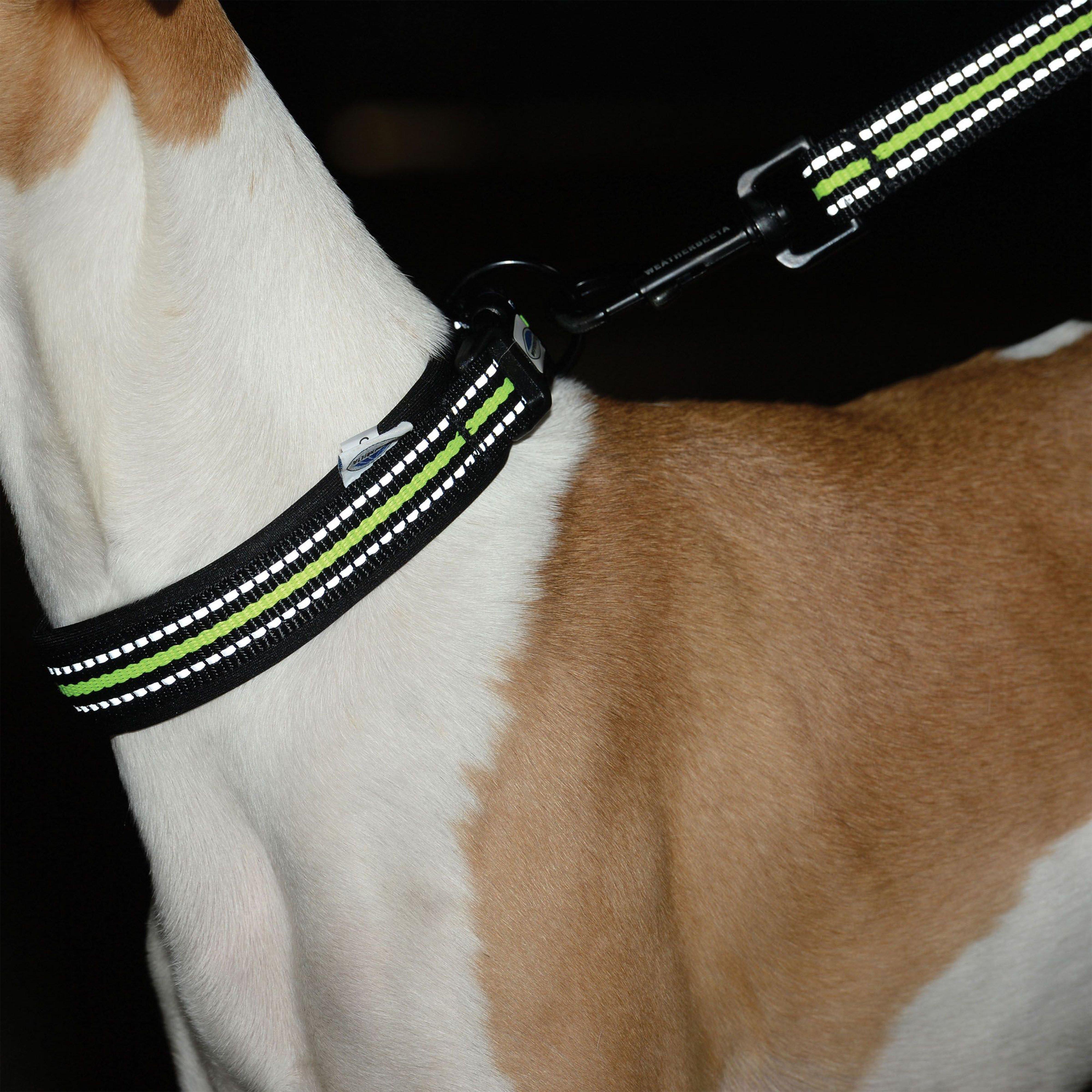 Reflective Dog Collar