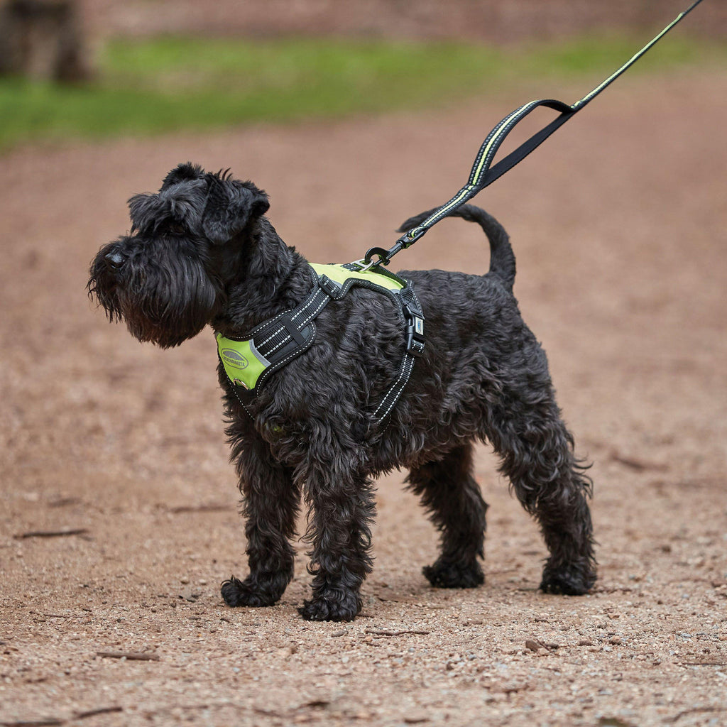 Anti-Pull/Travel Dog Harness