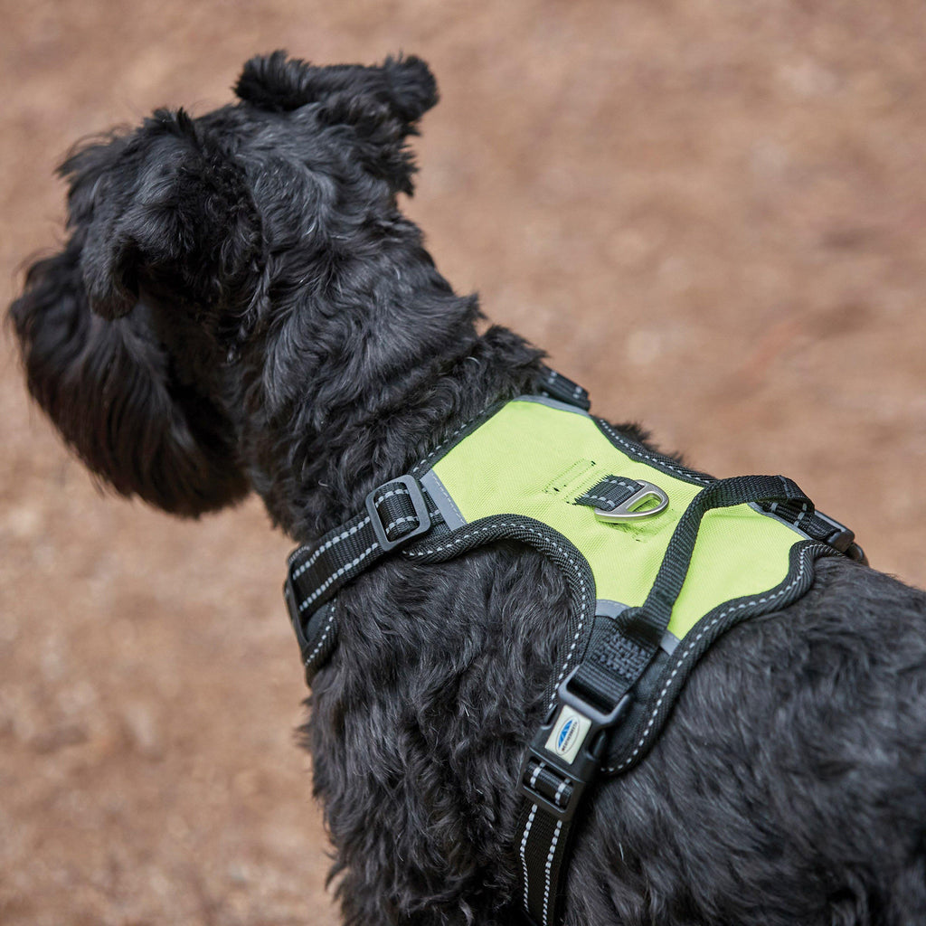 Anti-Pull/Travel Dog Harness