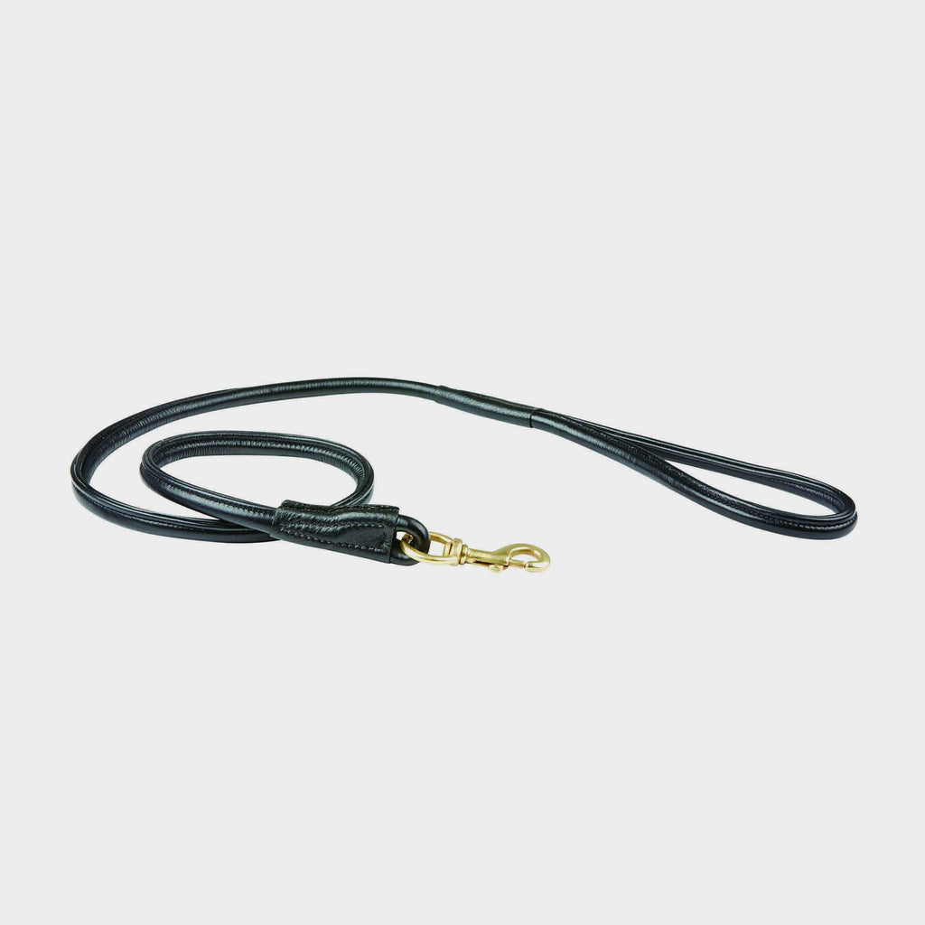 Rolled Leather Dog Lead