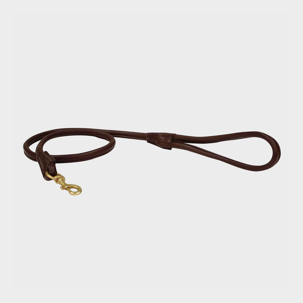 Rolled Leather Dog Lead