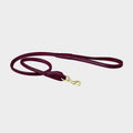 Rolled Leather Dog Lead