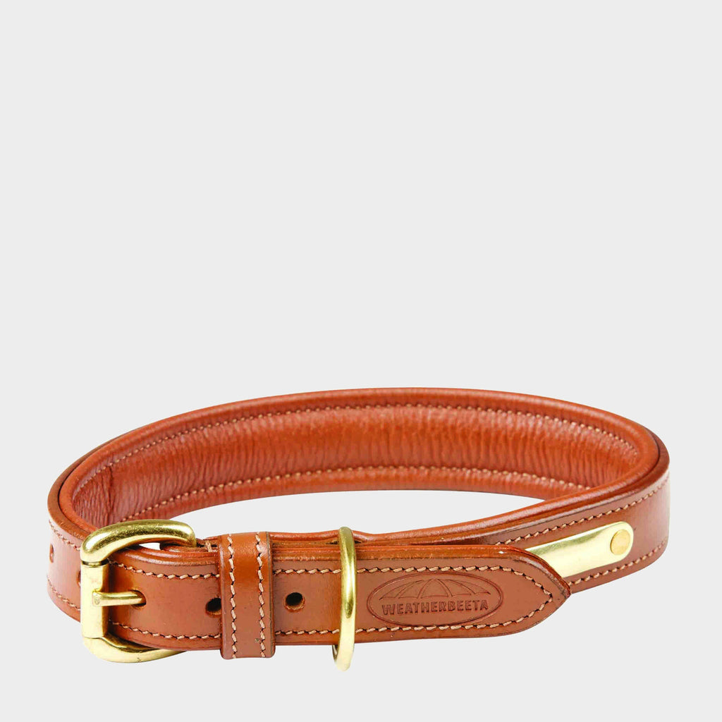 Padded Leather Dog Collar