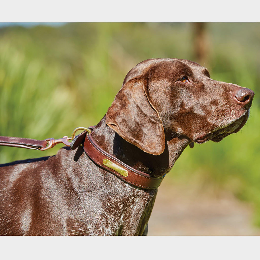 Leather Dog Lead