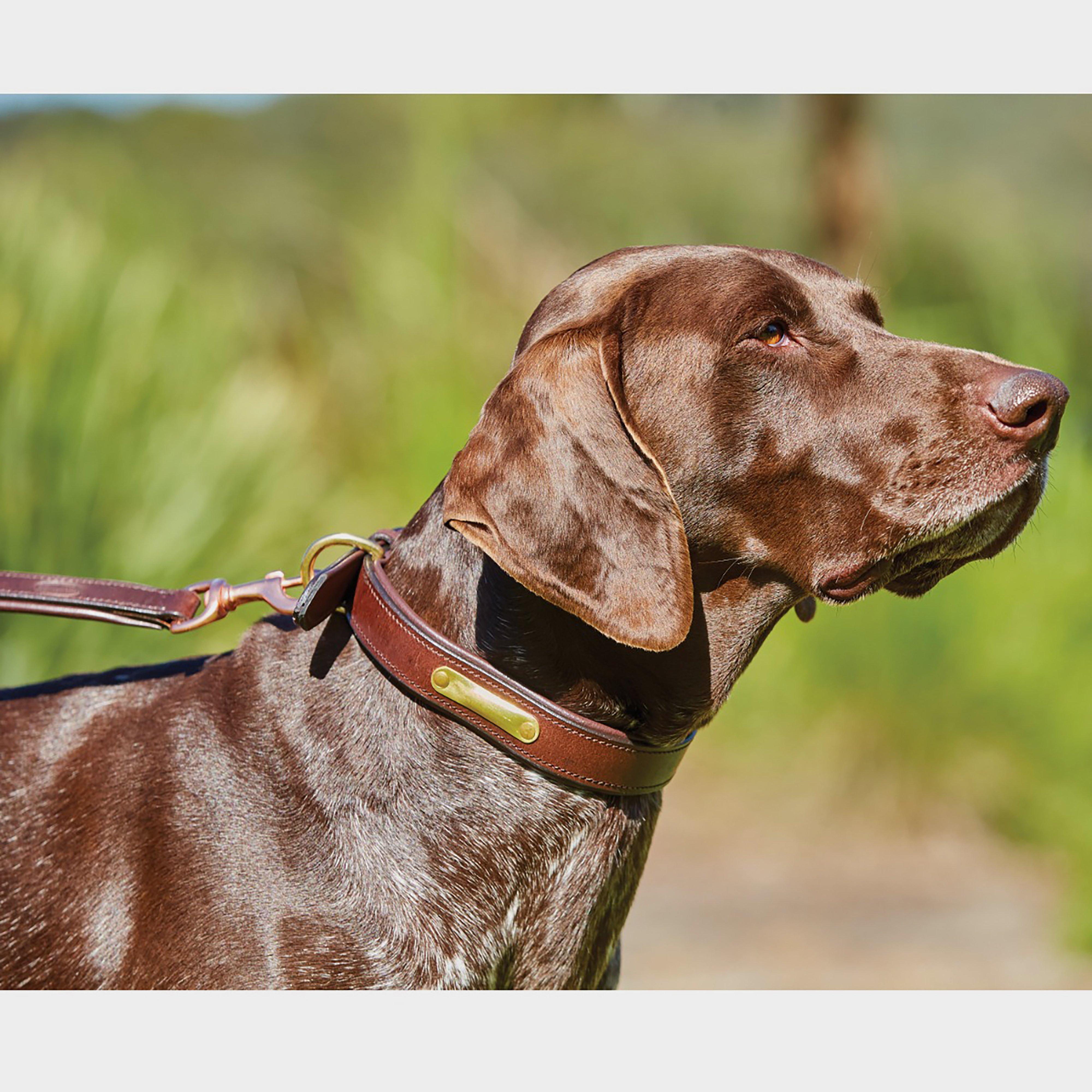 Leather Dog Lead