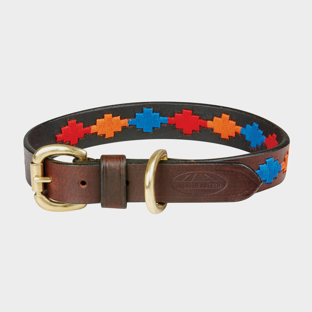 Polo Leather Dog Collar