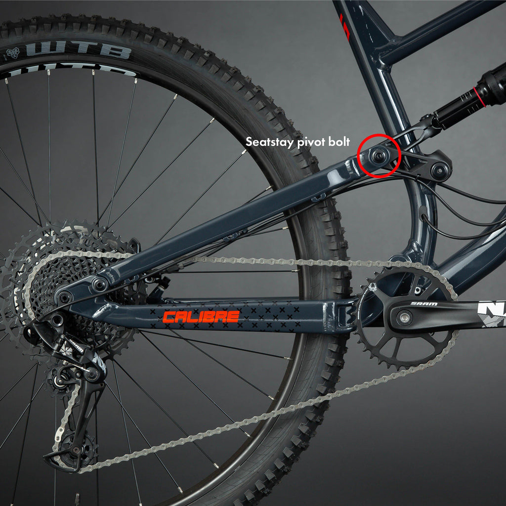 Sentry Seatstay Pivot Bolt