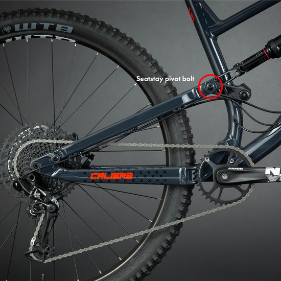 Sentry Seatstay Pivot Bolt
