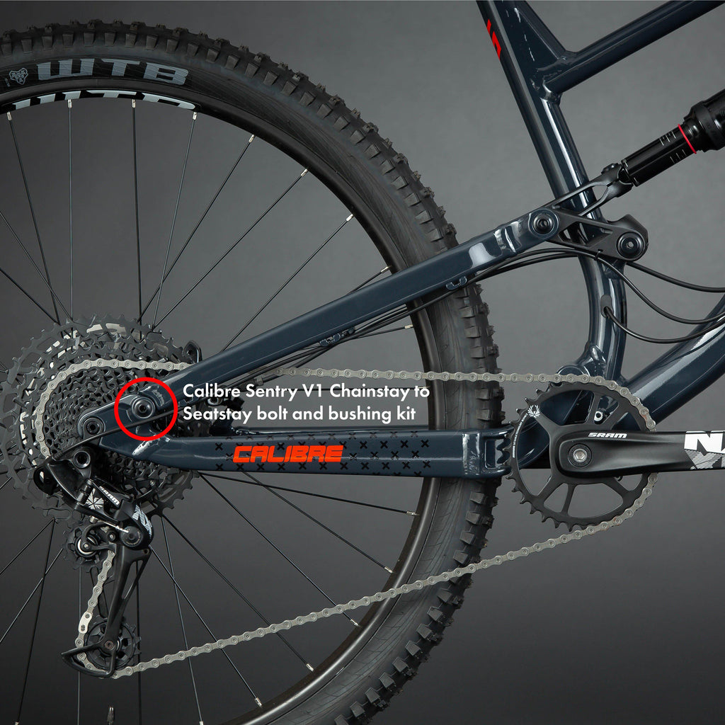 Sentry V1 Chainstay to Seatstay Bolt and Bushing Kit