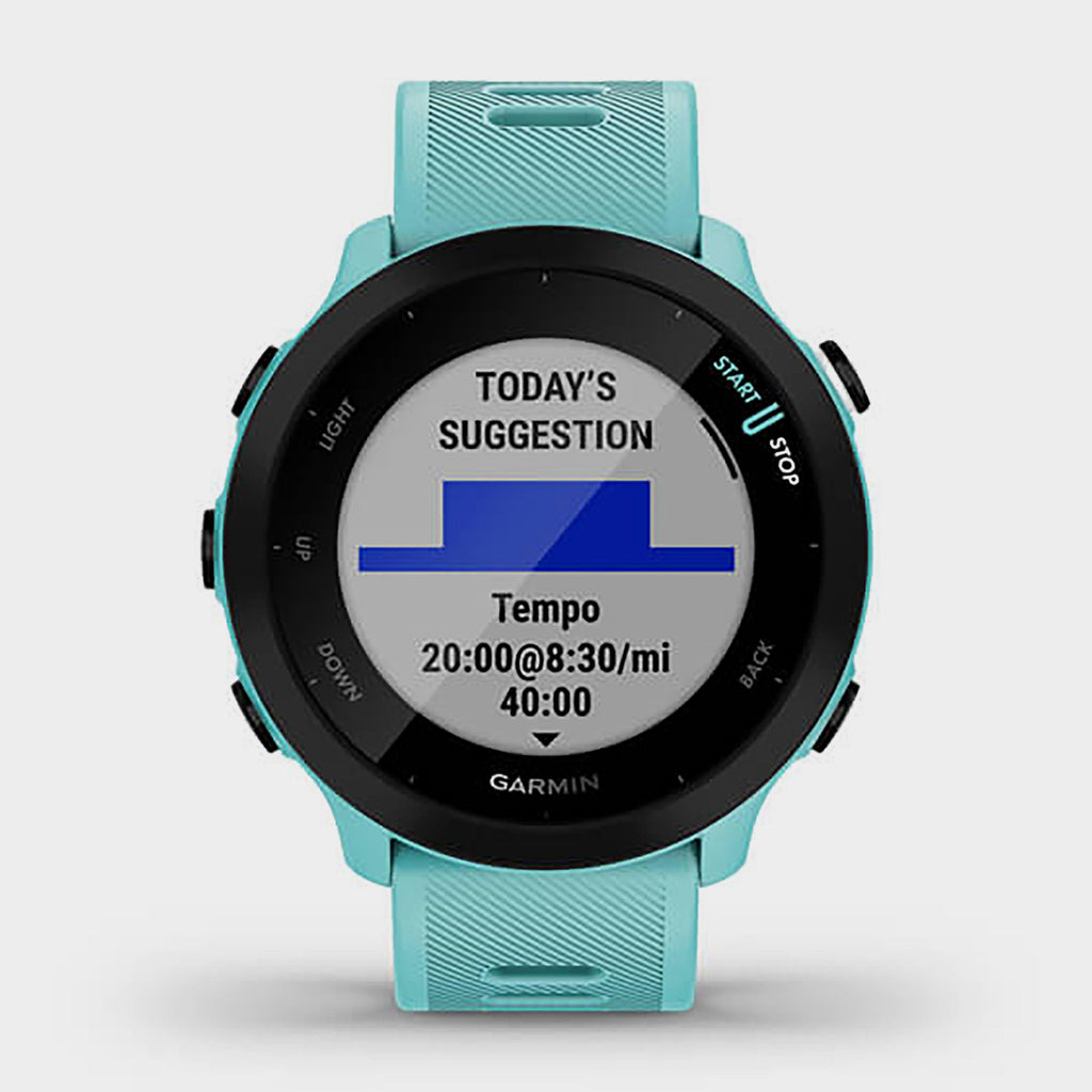 Forerunner 55 GPS Running Smartwatch