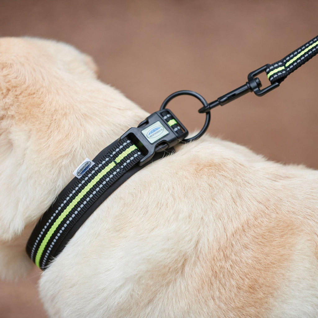 Reflective Dog Collar Large