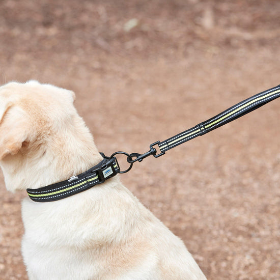 Reflective Dog Collar Extra Large