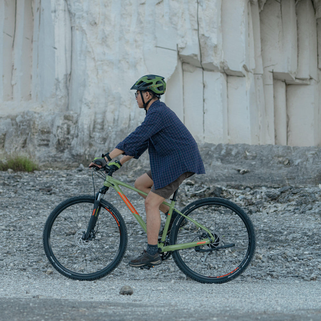 Heist X2 Urban Bike