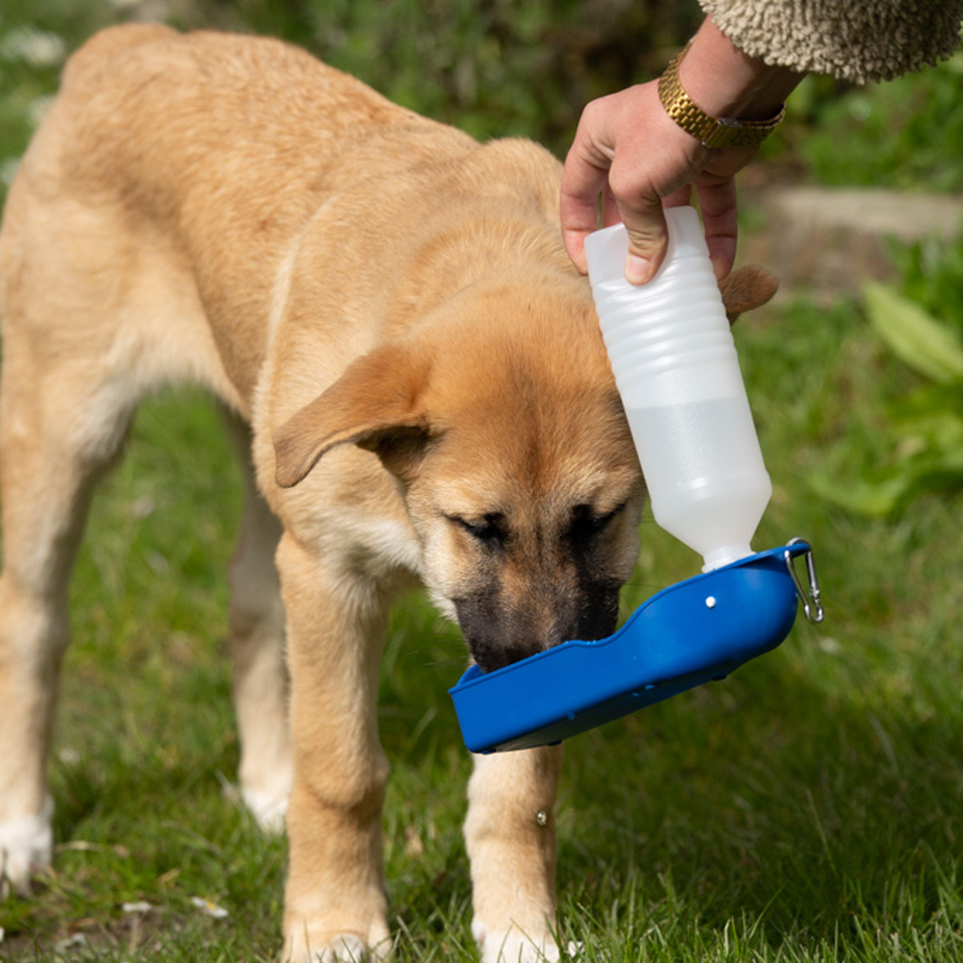 Outdoor Paws Travel Water Bottle