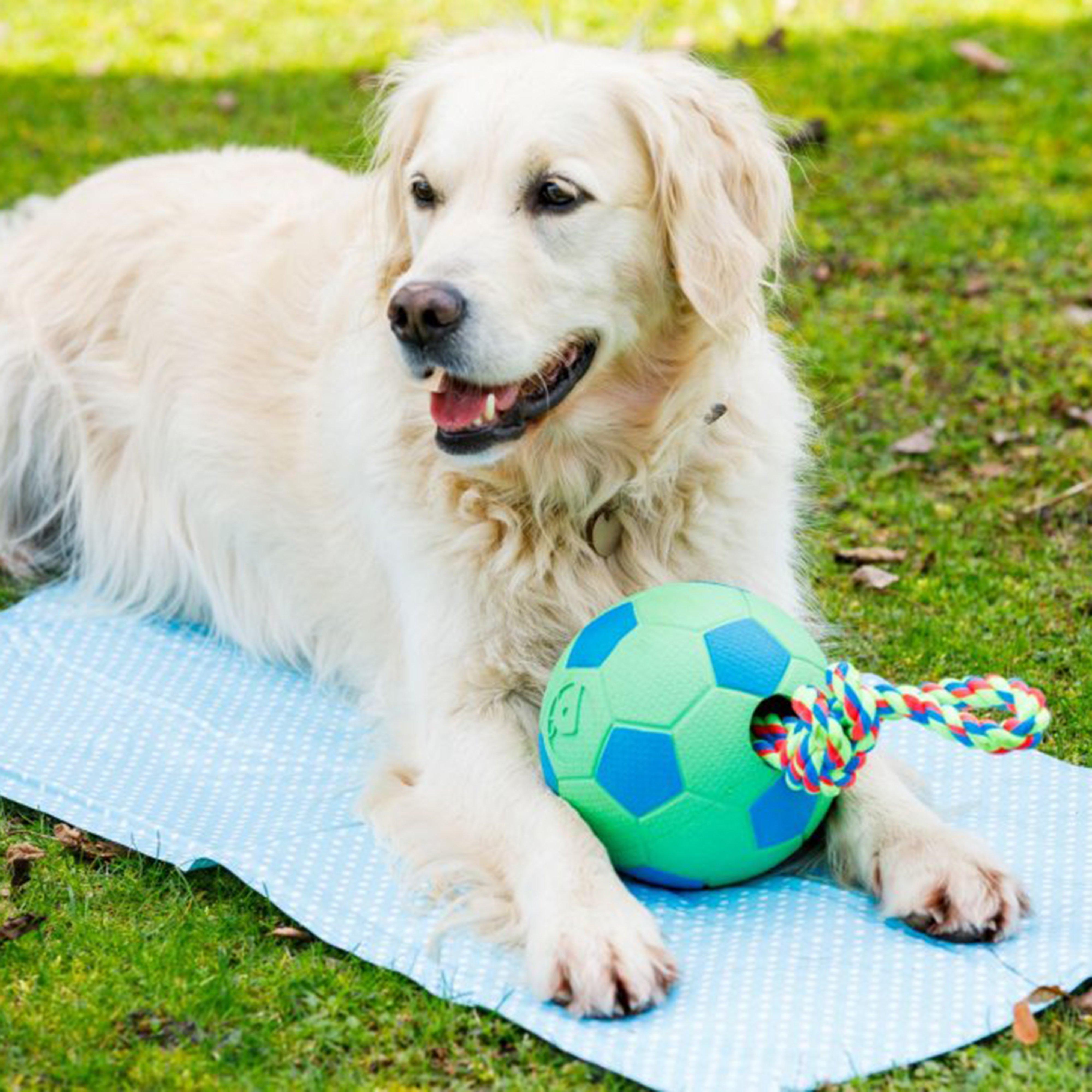 Cooling Pet Mat