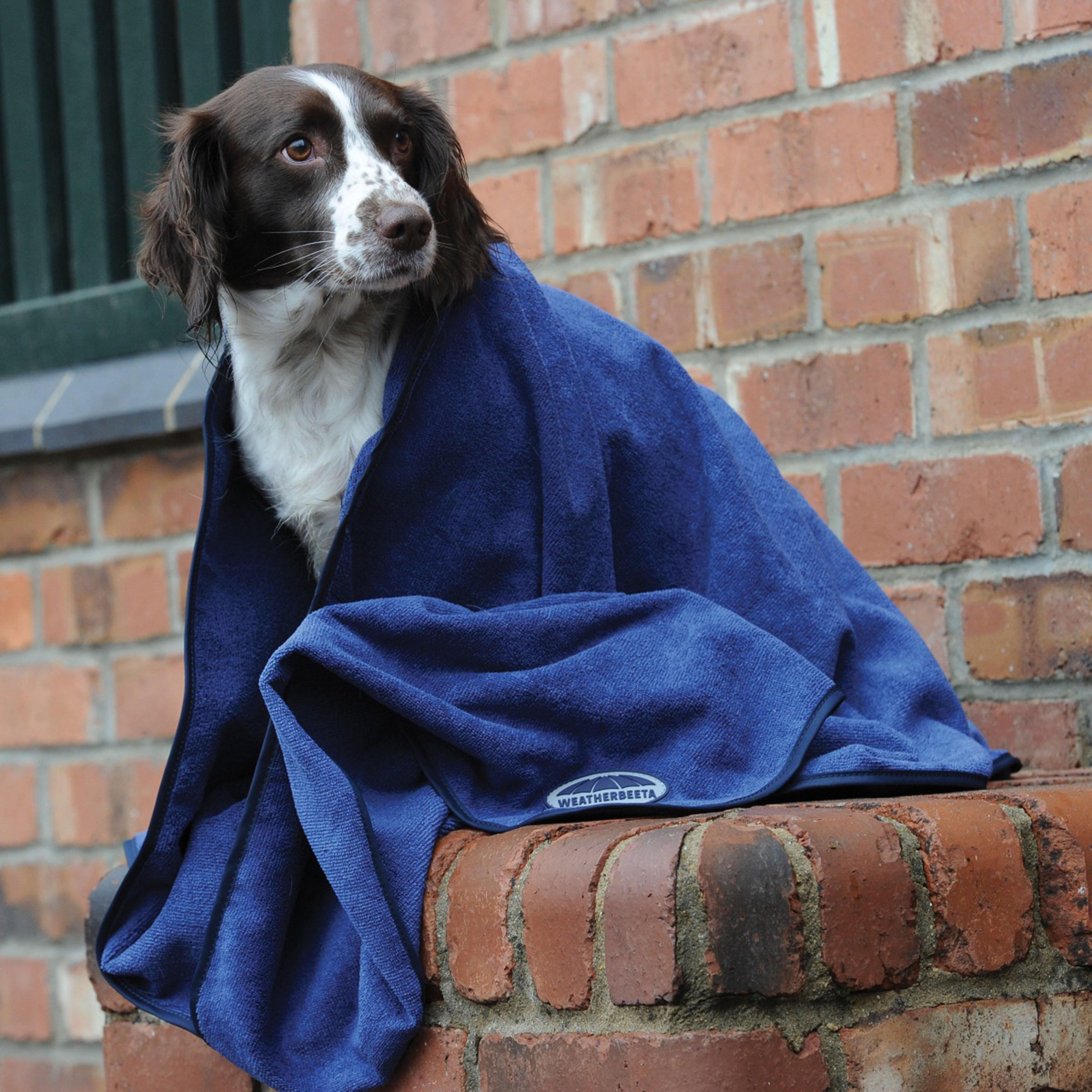 Small Dog Towel Blue