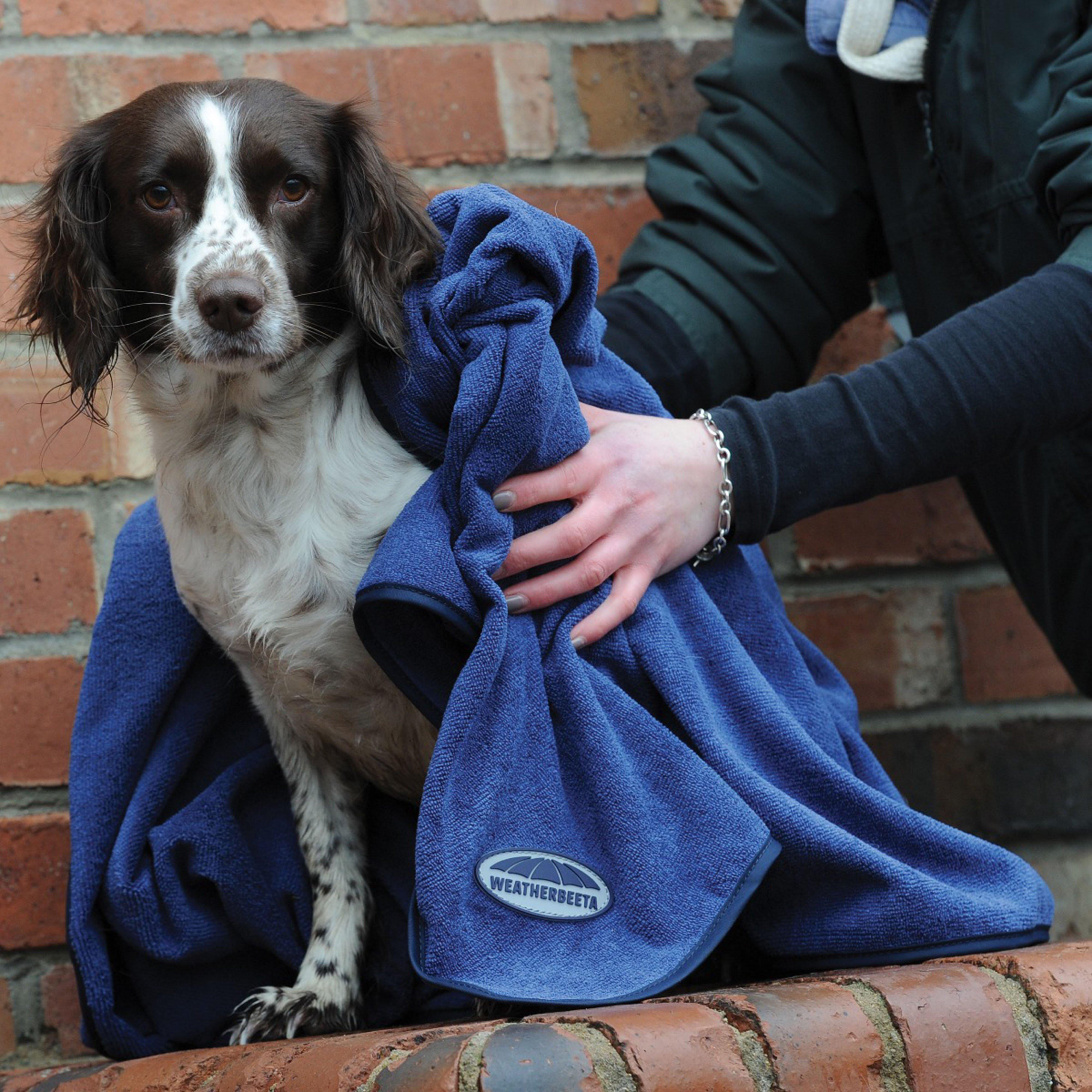 Small Dog Towel Blue