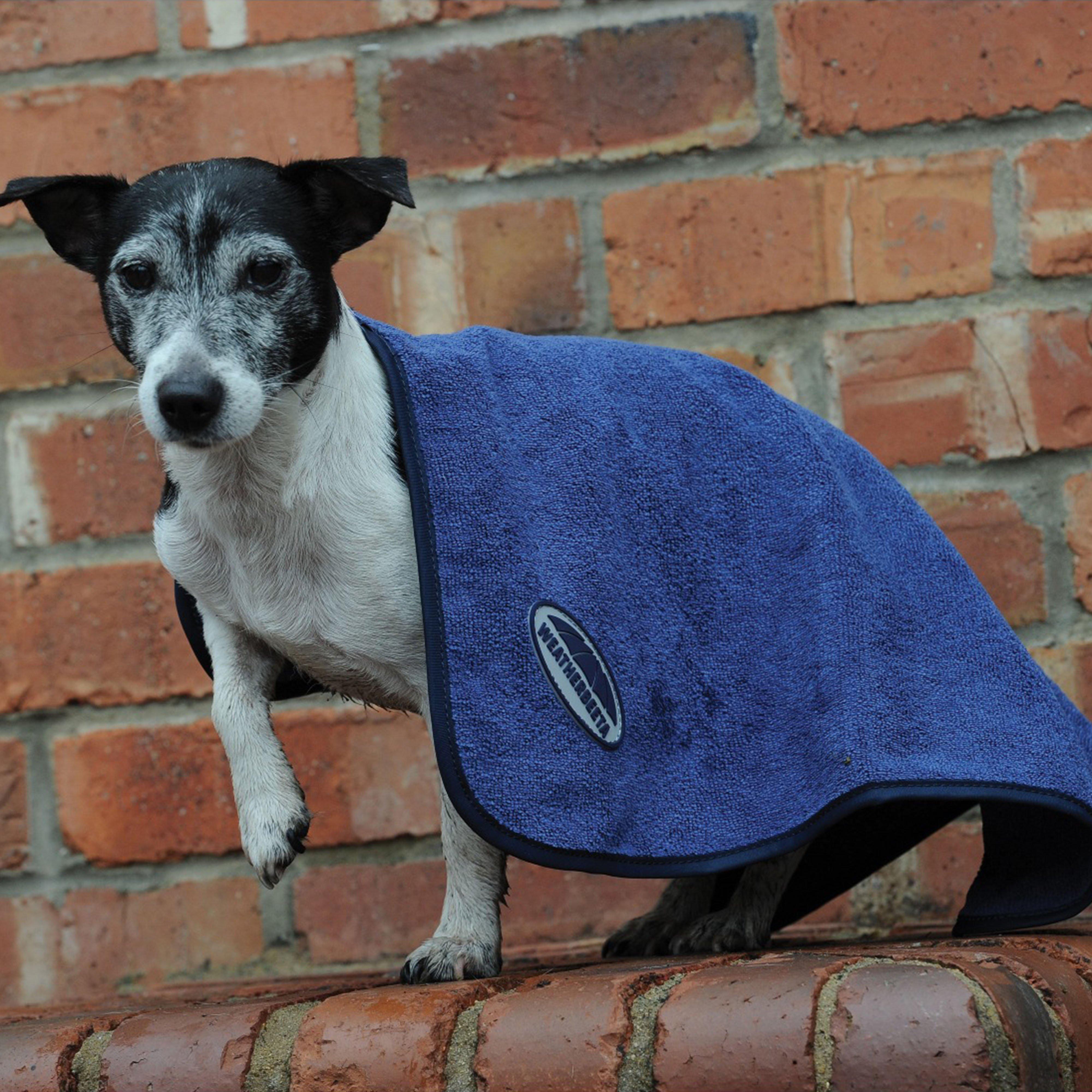 Small Dog Towel Blue