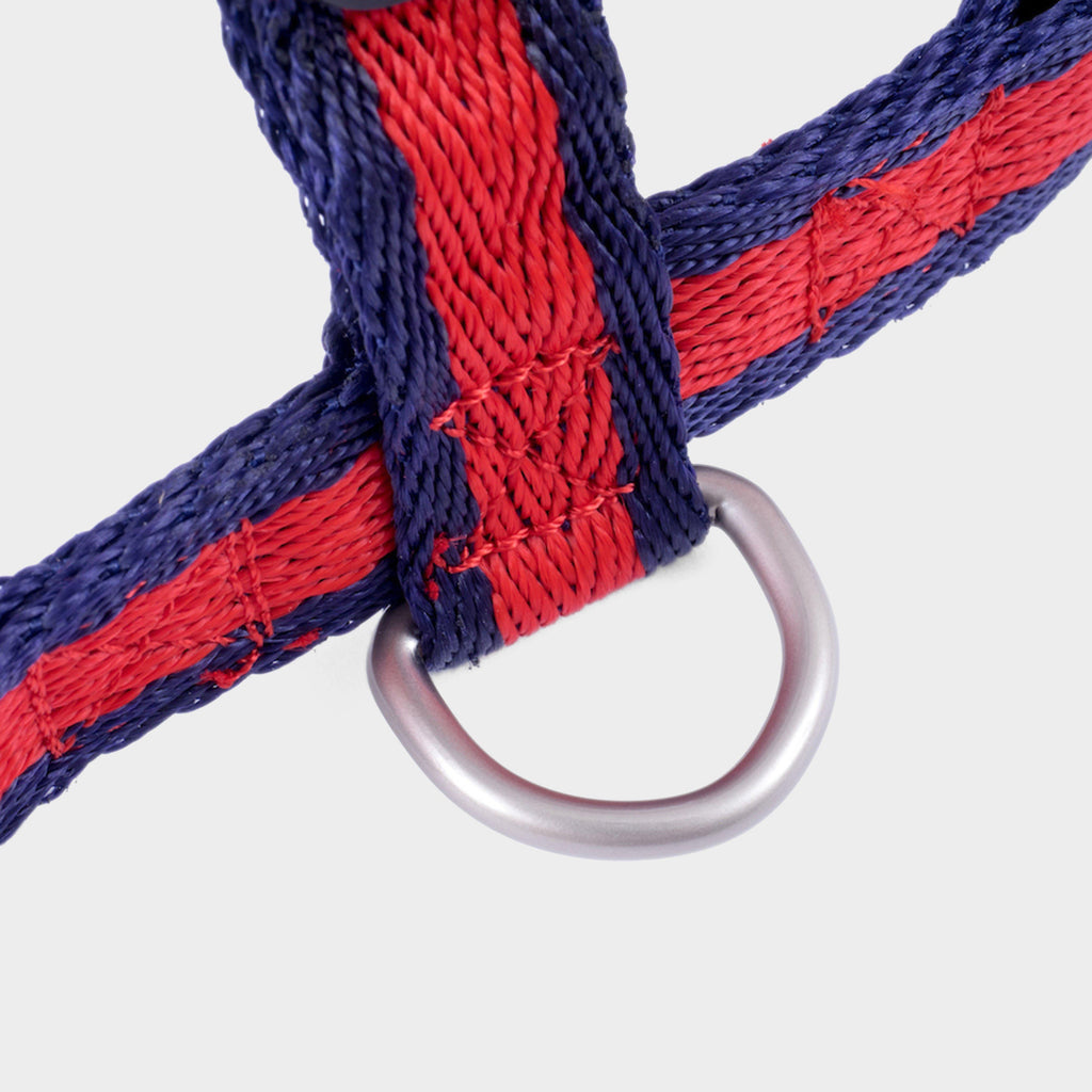 Scarlet Stripe Dog Harness – Medium