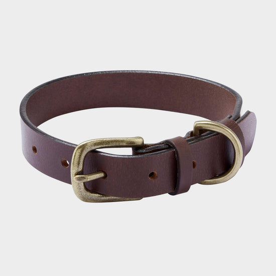 Dog Collar
