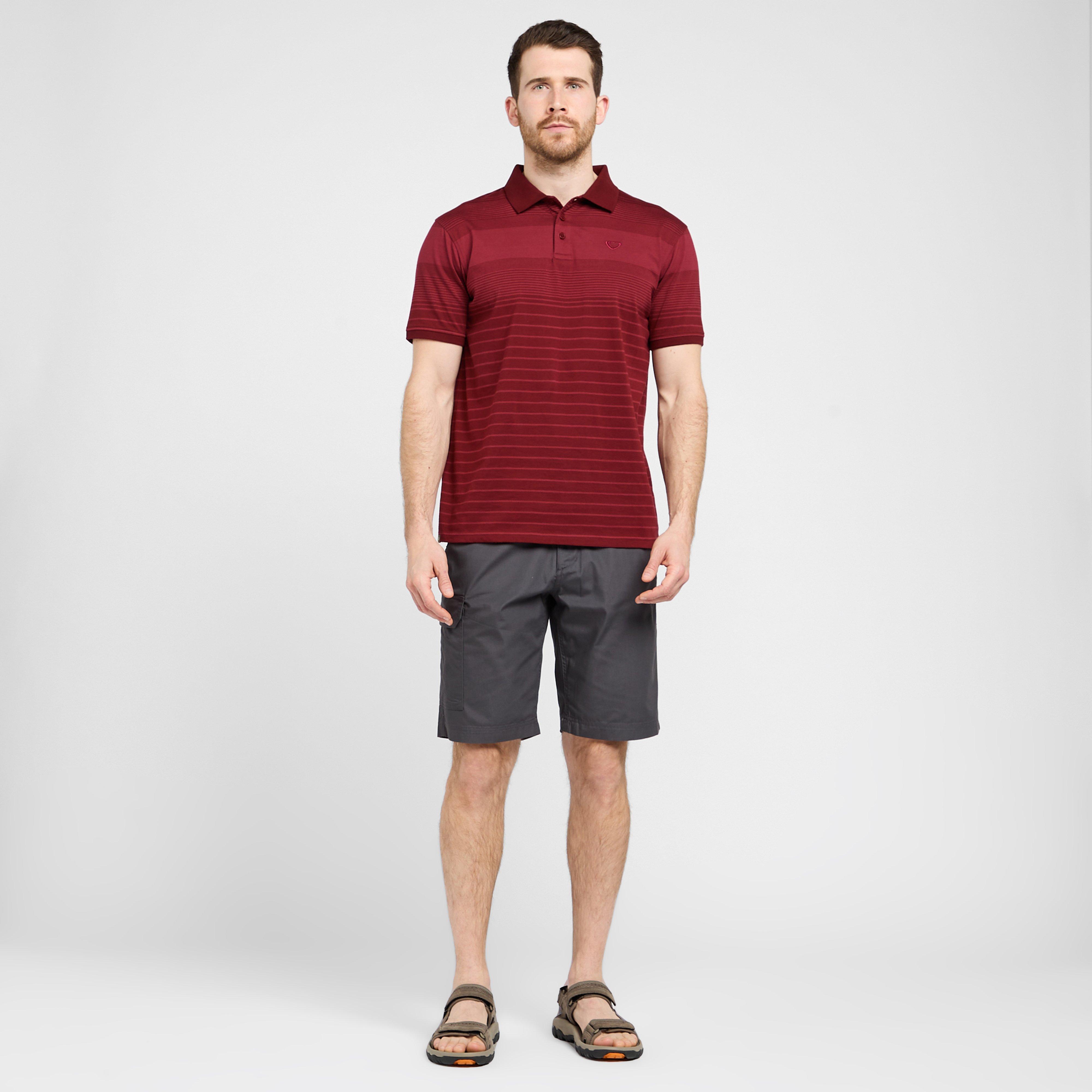 Men's Striped Polo Shirt
