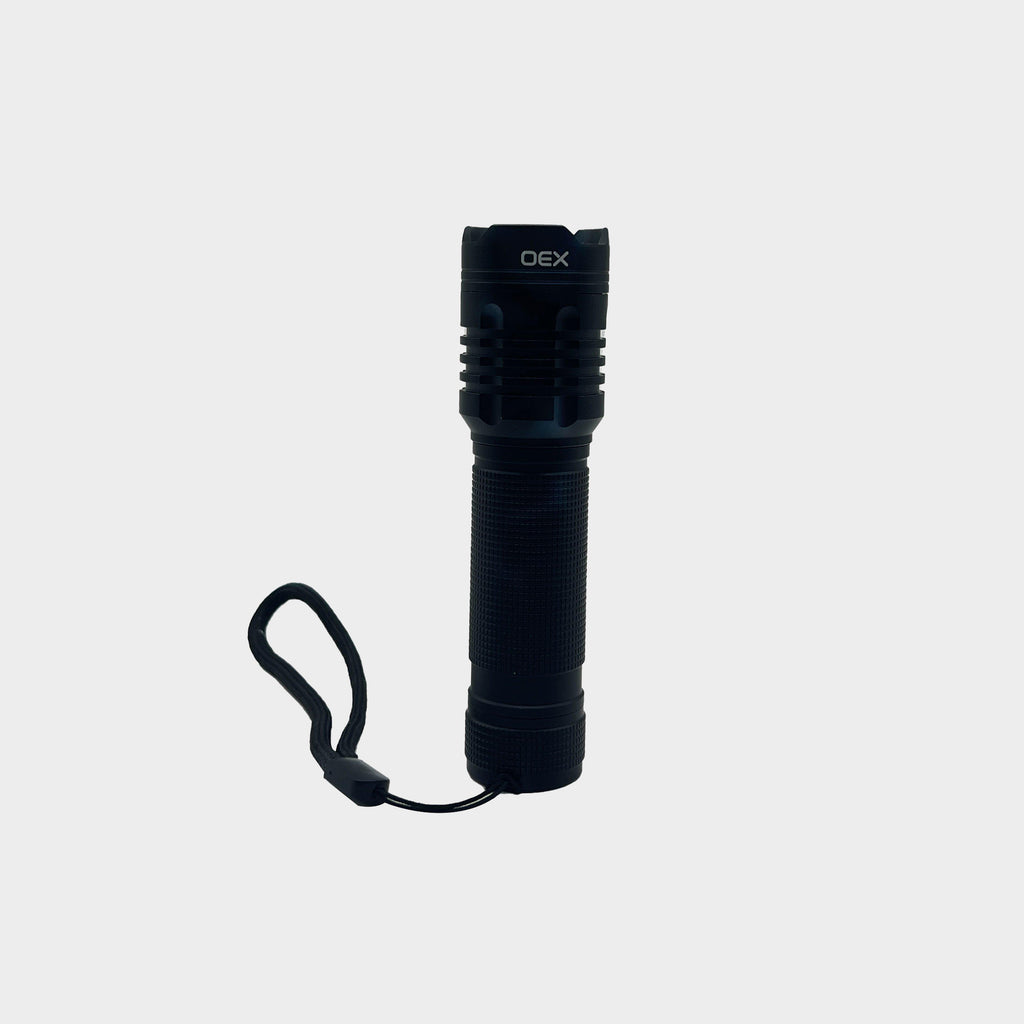 350 Lumen Torch