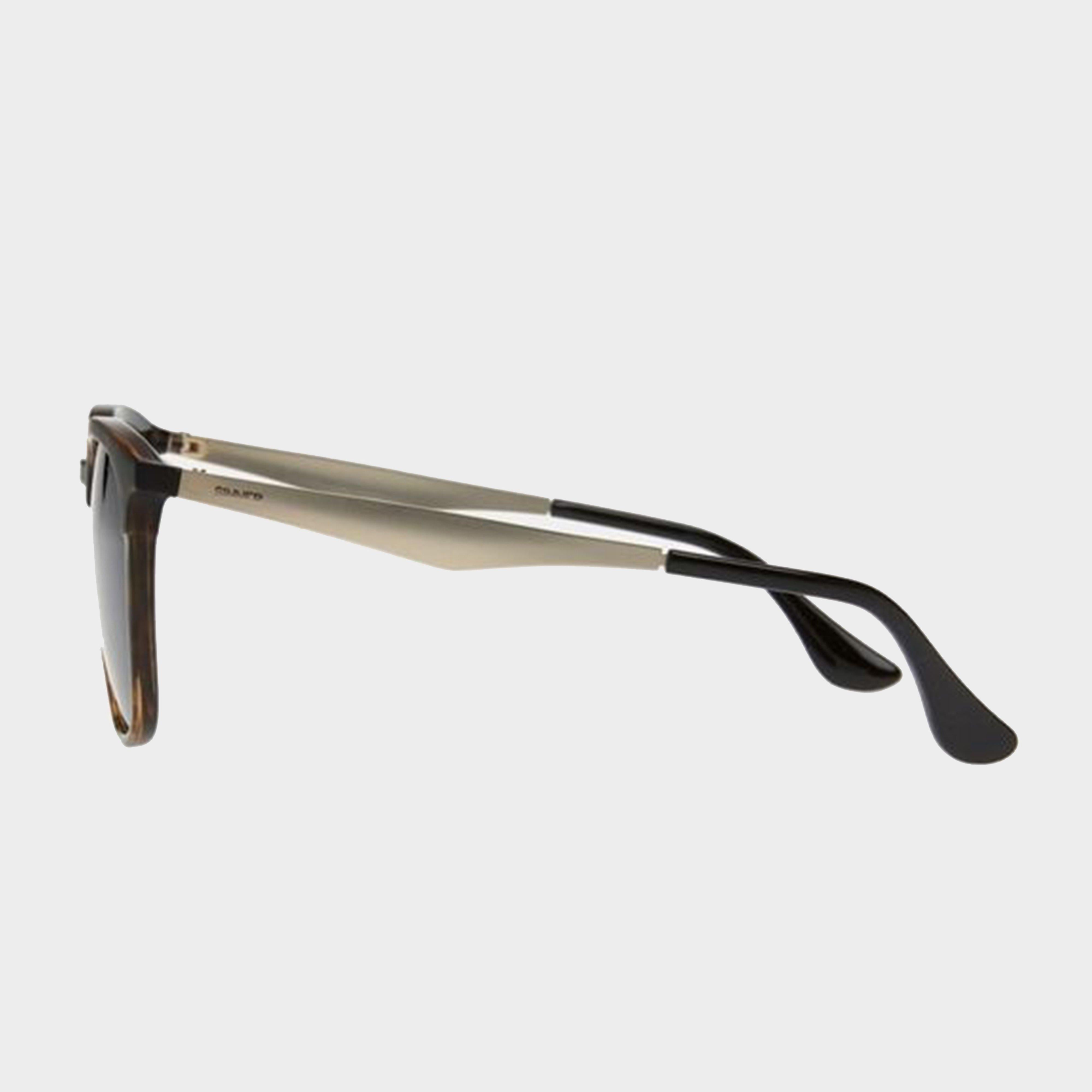 Cowell Sunglasses
