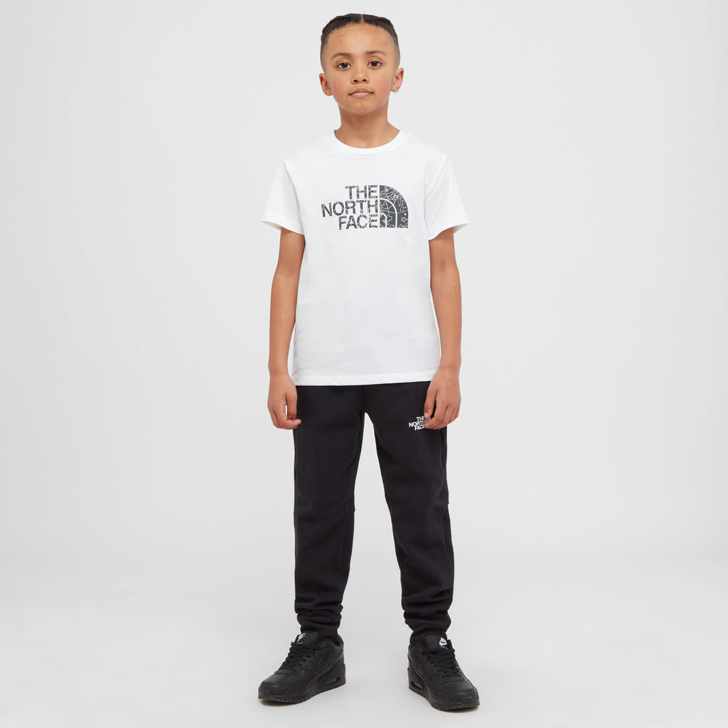 TNF B S/S RDBX TEE