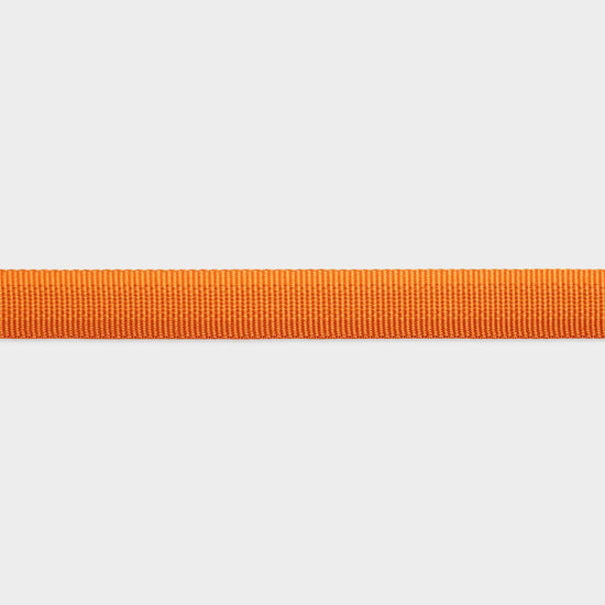 Front Range Dog Lead Campfire Orange