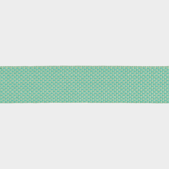 Hi & Light™ Lightweight Dog Collar