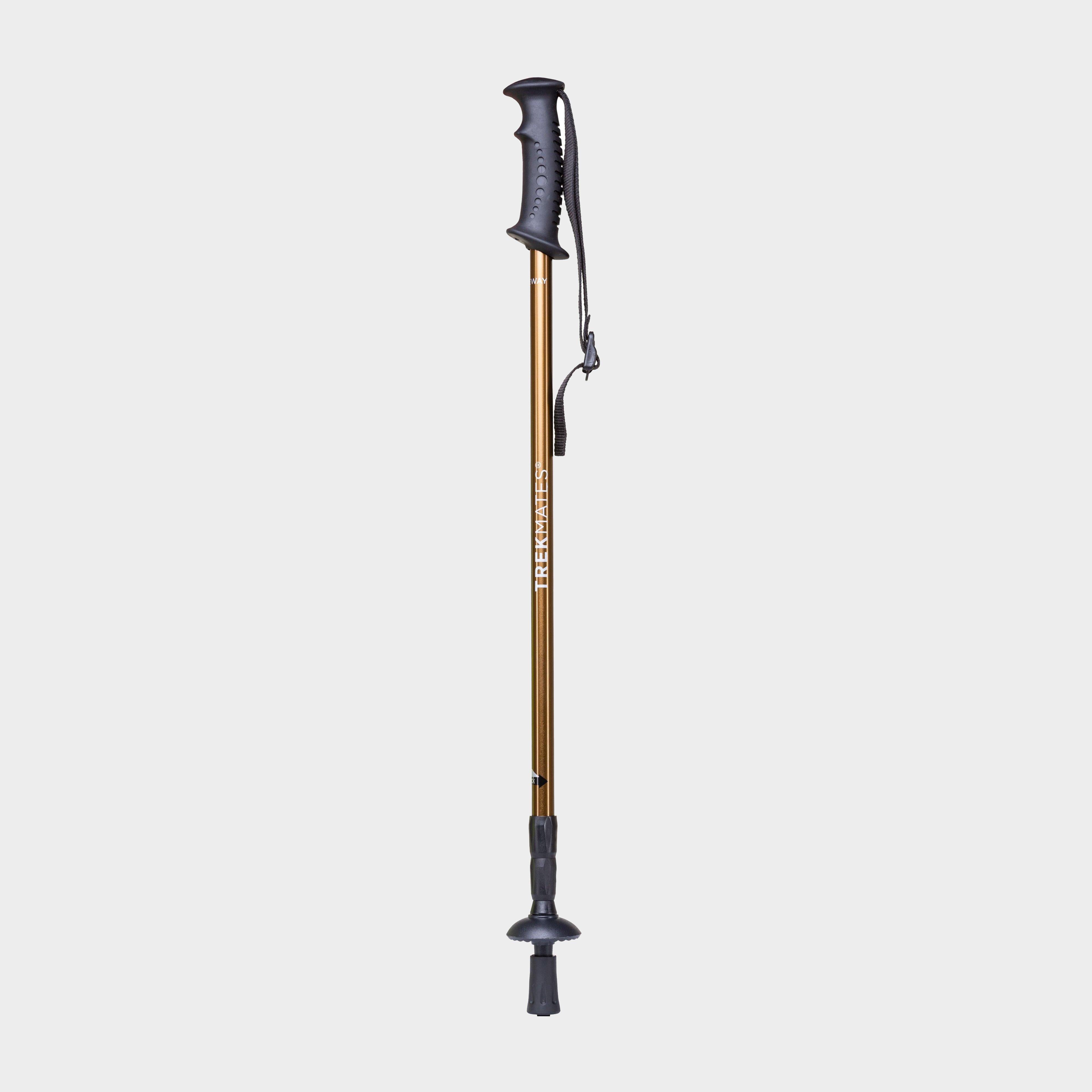 Kids’ Walker Lock Pole