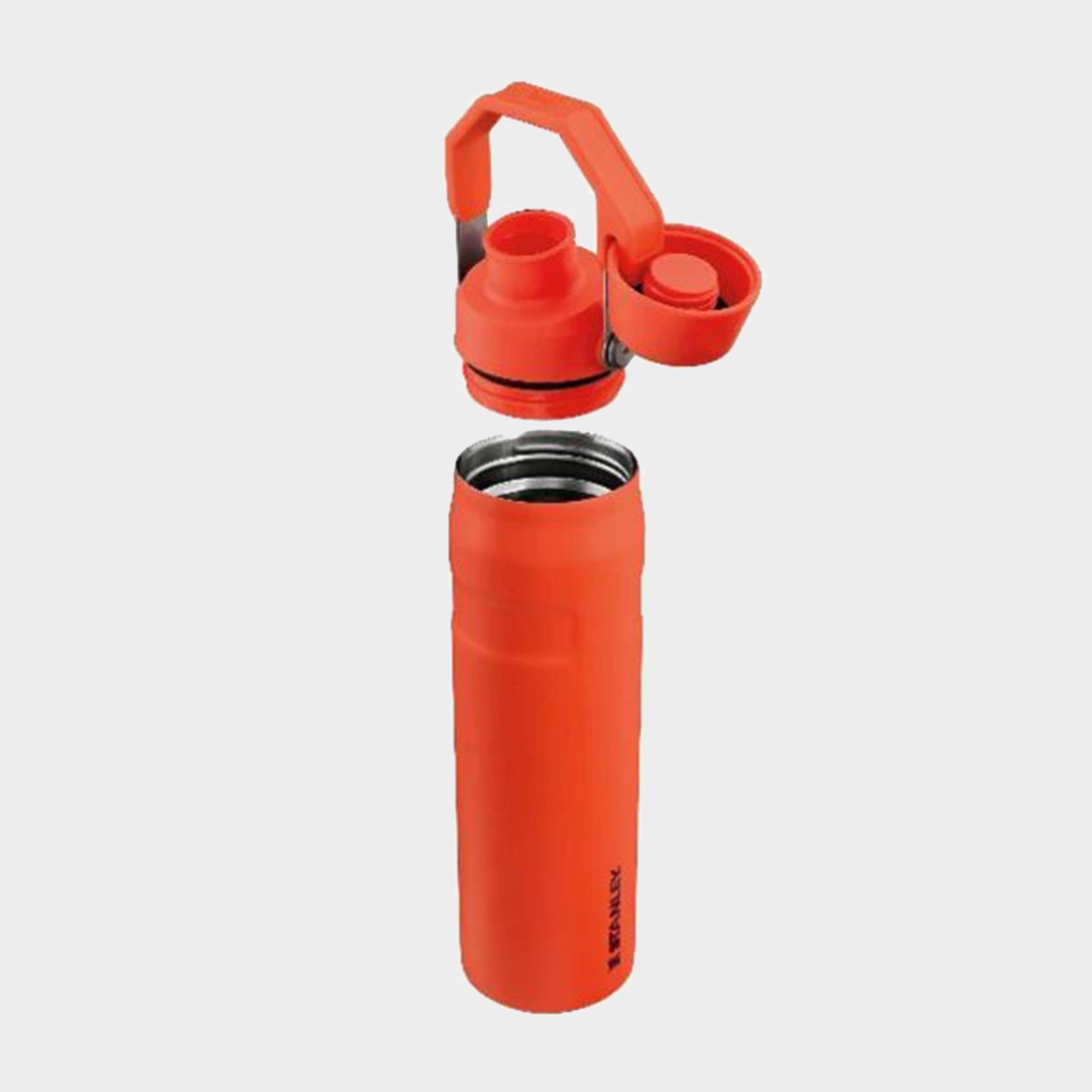 Iceflow™ Fast Flow Bottle - 0.6L