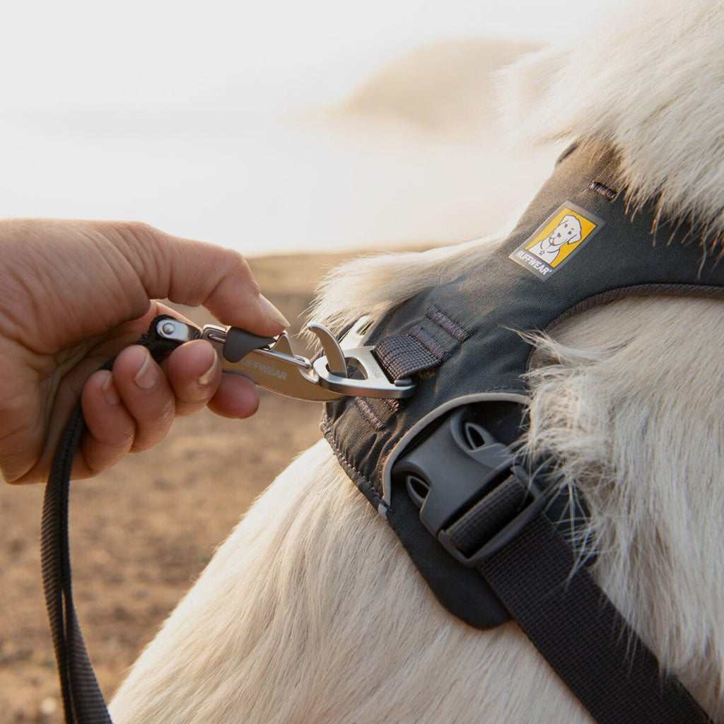 Front Range Dog Harness Red Sumac