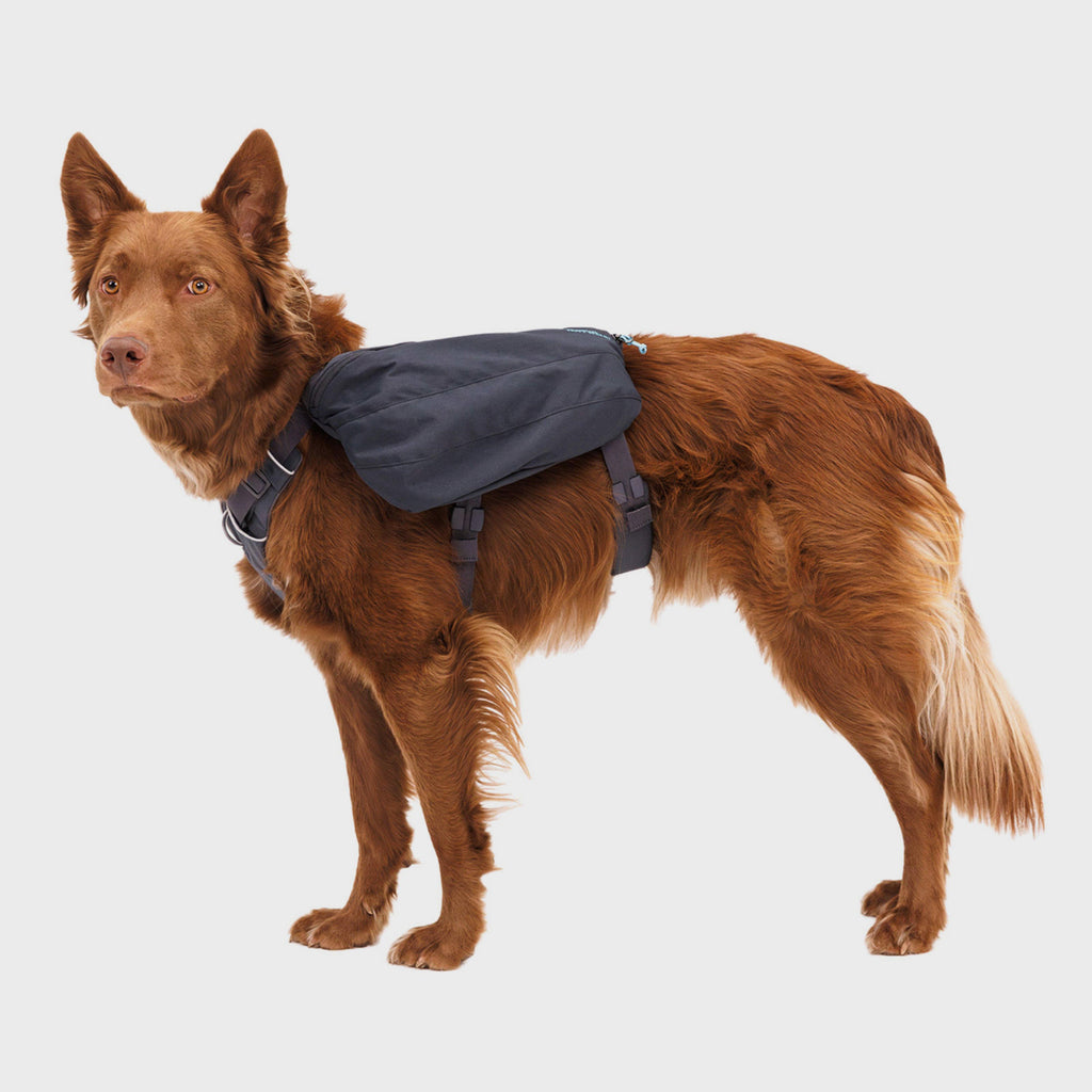 Front Range Day Pack Basalt Grey