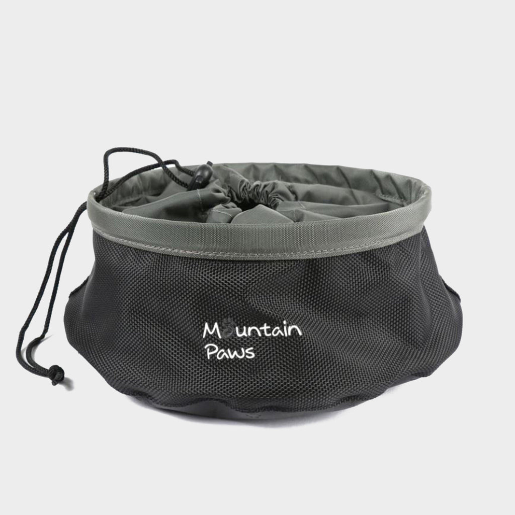 Dog Food Bowl