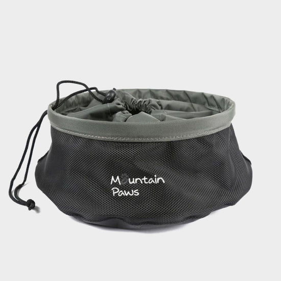 Dog Food Bowl