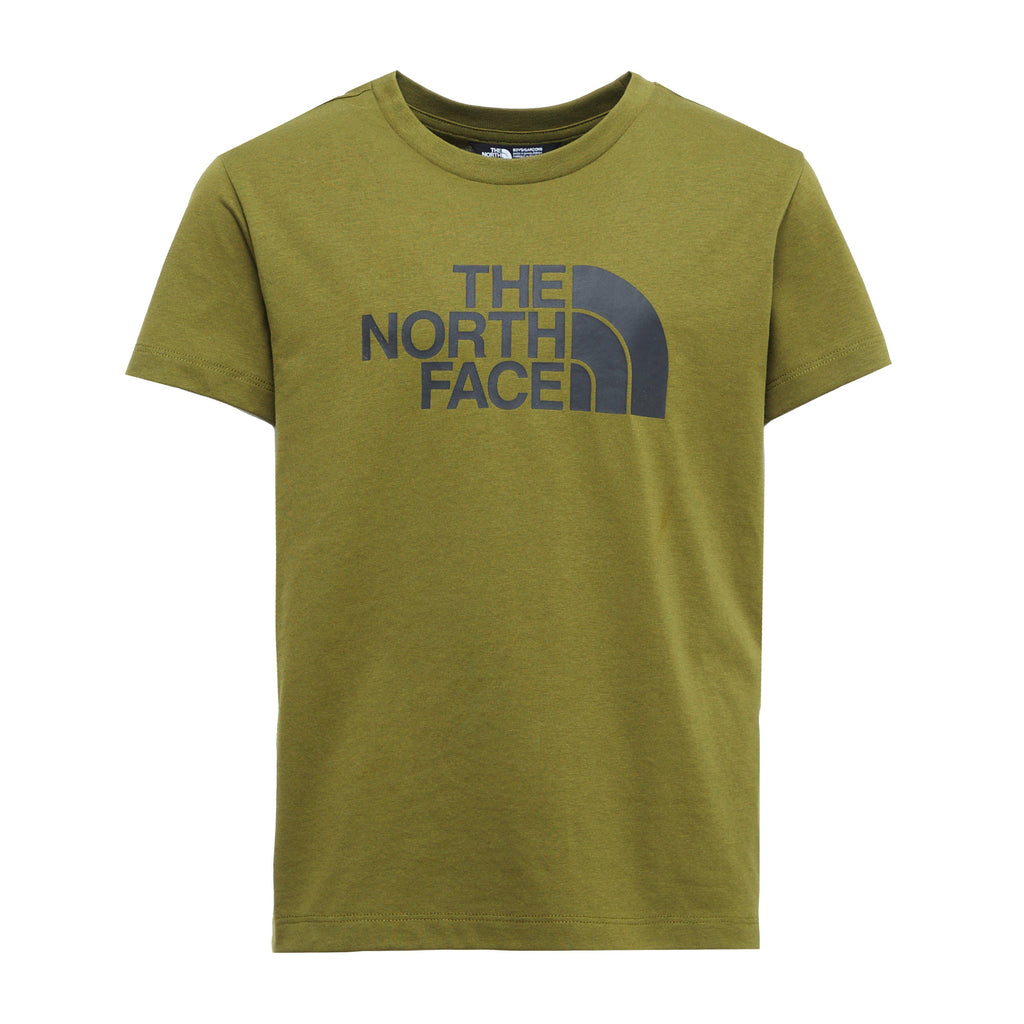 TNF B EASY TEE