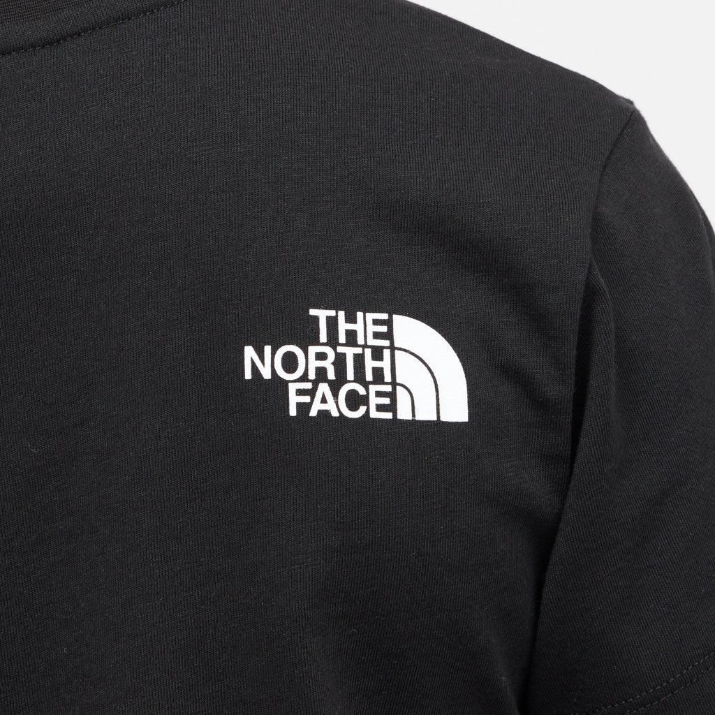 TNF B SS GRAPH TEE