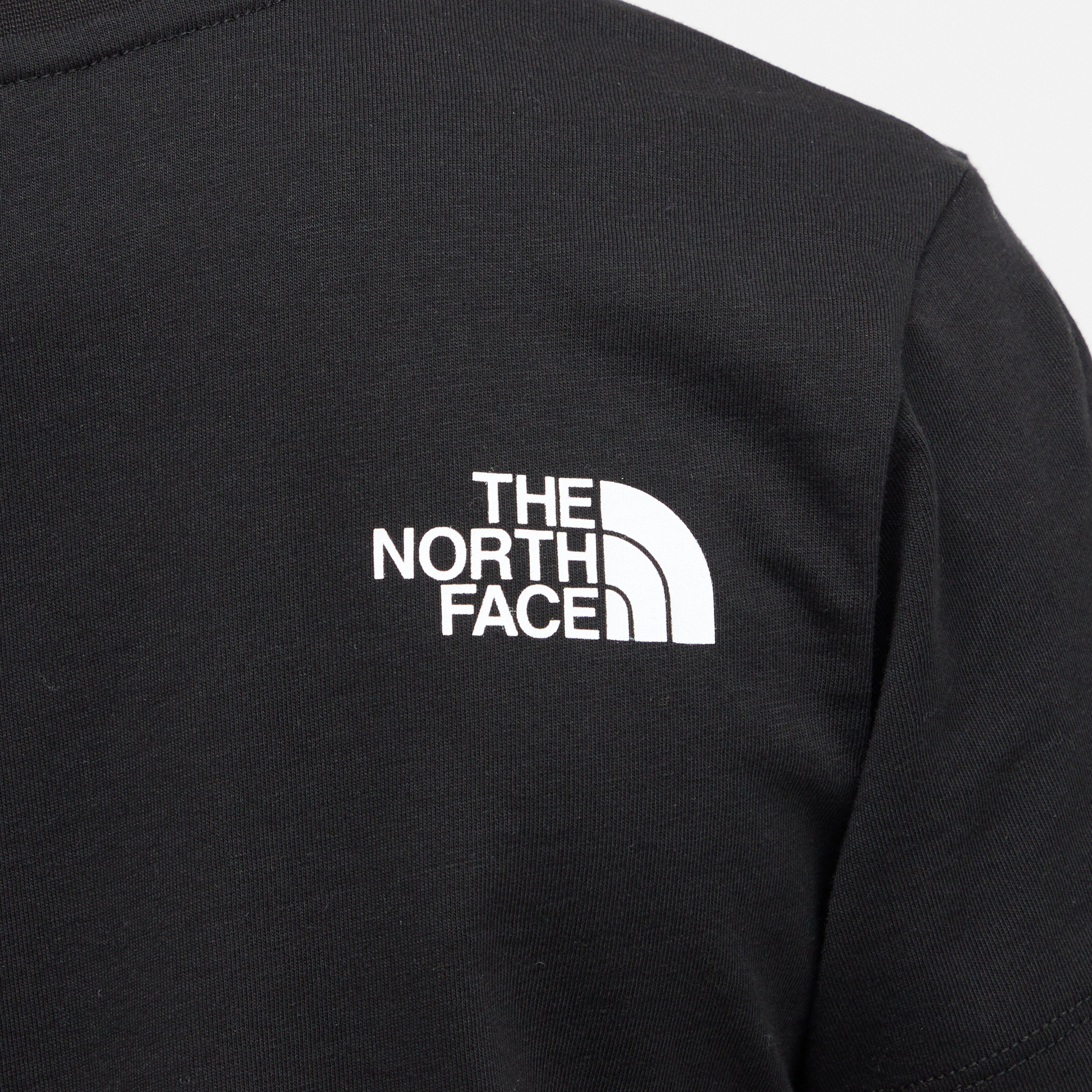 TNF B SS GRAPH TEE
